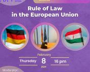 Webinar Rule of Law - AJFV