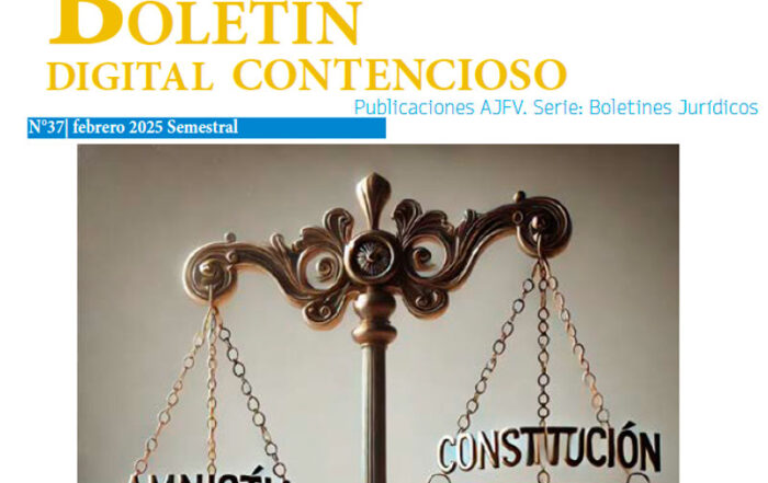 Boletín Contencioso 37 - Febrero 2025