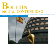 Boletin Contencioso - febrero 2026